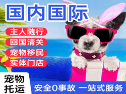 郑州航空快递国际宠物托运 【国